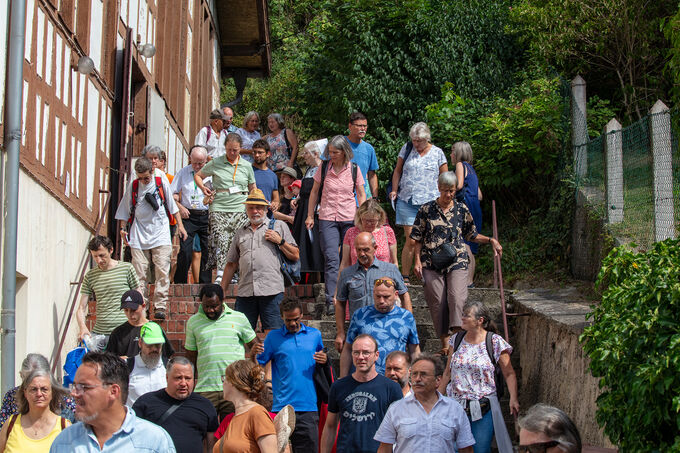 Eine große Gruppe von Menschen geht eine Treppe hinunter. Die Teilnehmer tragen verschiedene Kleidung und scheinen an einem gemeinsamen Ausflug oder einer Veranstaltung teilzunehmen. Im Hintergrund sind Bäume und ein Gebäude sichtbar.