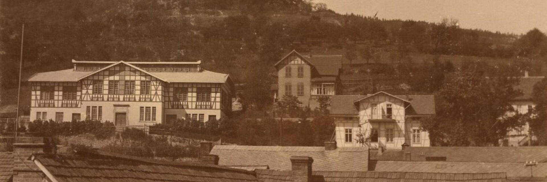 Bergansicht der Allianzhäuser in Bad Blankenburg